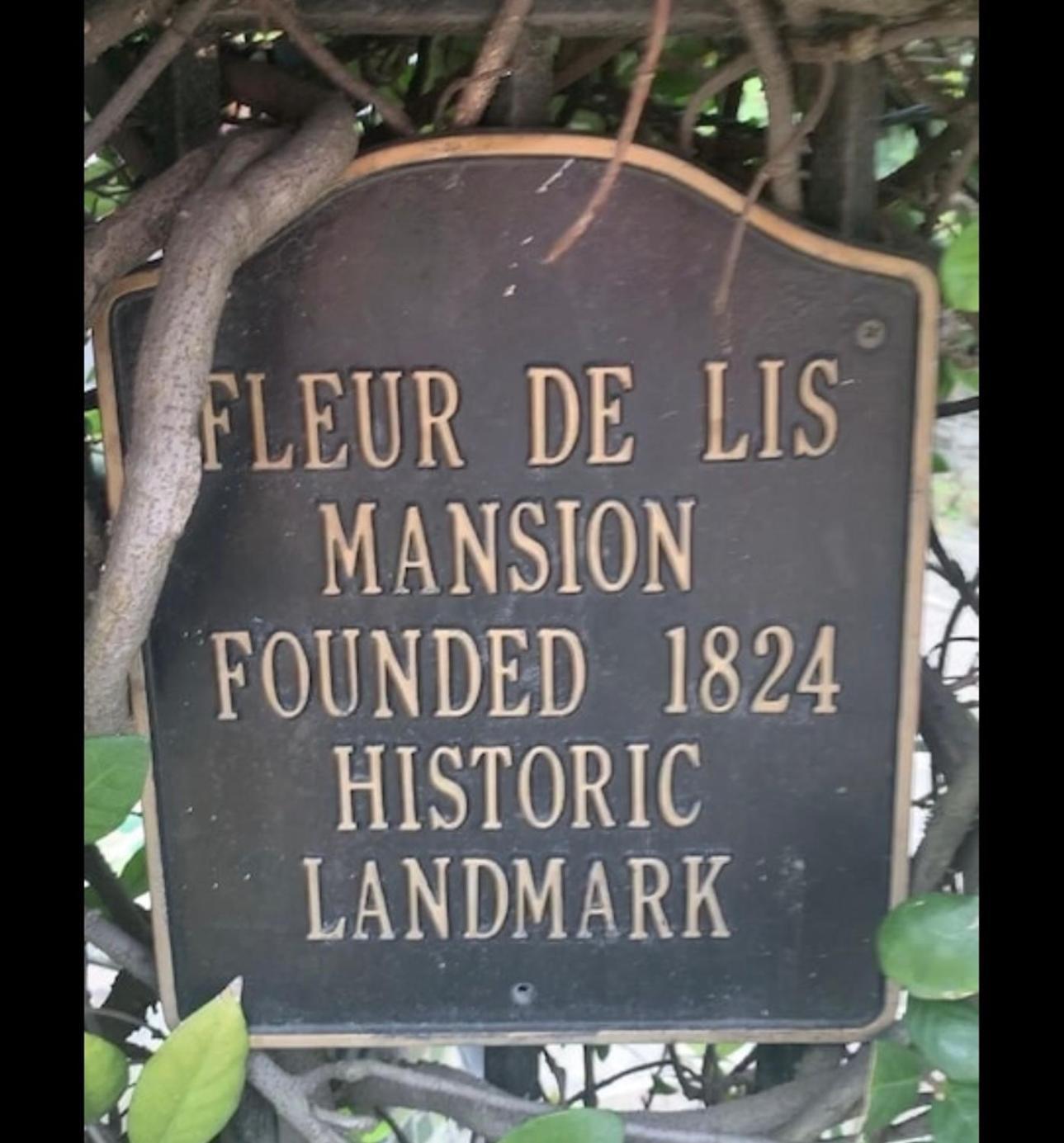 Fleur De Lis Mansion Bed & Breakfast New Orleans Ngoại thất bức ảnh